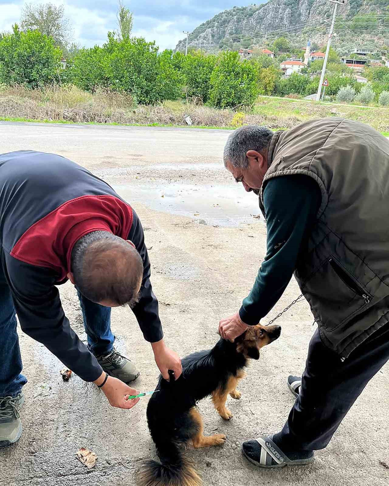 MUĞLA’NIN ORTACA İLÇESİNDE, 2026 YILI KUDUZ AŞILAMA KAMPANYASI KAPSAMINDA KEDİ VE KÖPEKLERE YÖNELİK AŞILAMA ÇALIŞMALARI GERÇEKLEŞTİRİLDİ.