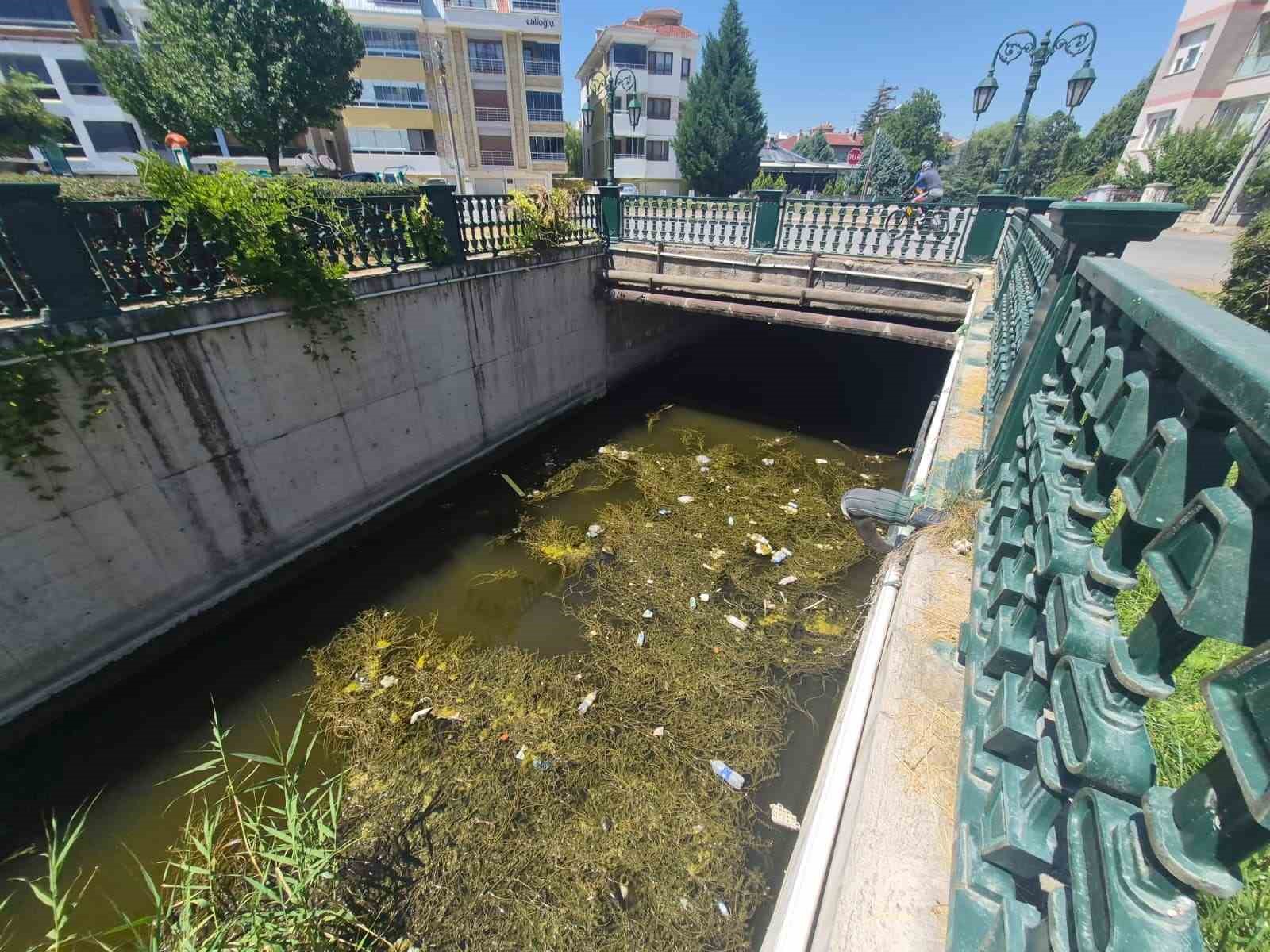 Porsuk Çayı'ndaki çöp kirliliği dikkat çekti