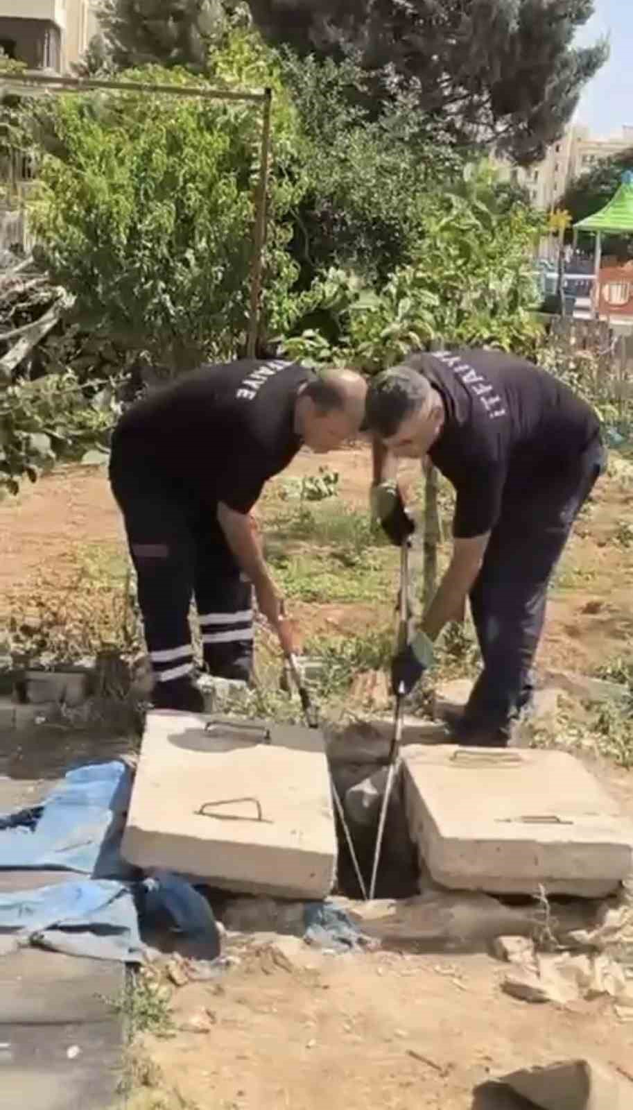 Mardin’de kuyuda görülen yılan doğaya bırakıldı