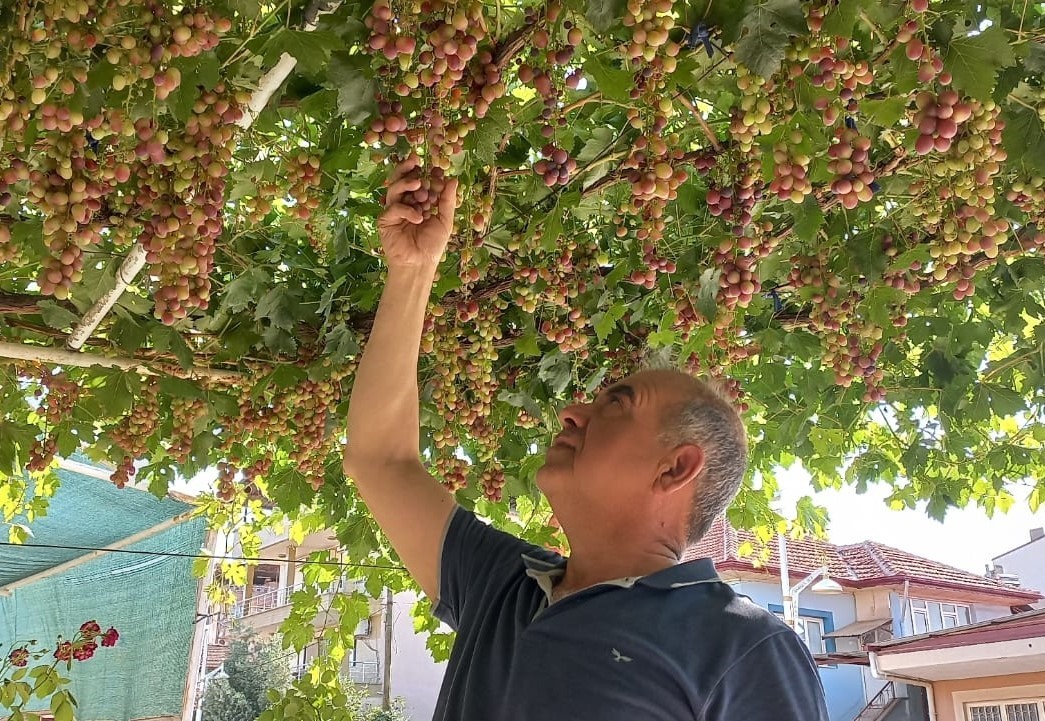 Asayiş Haberi