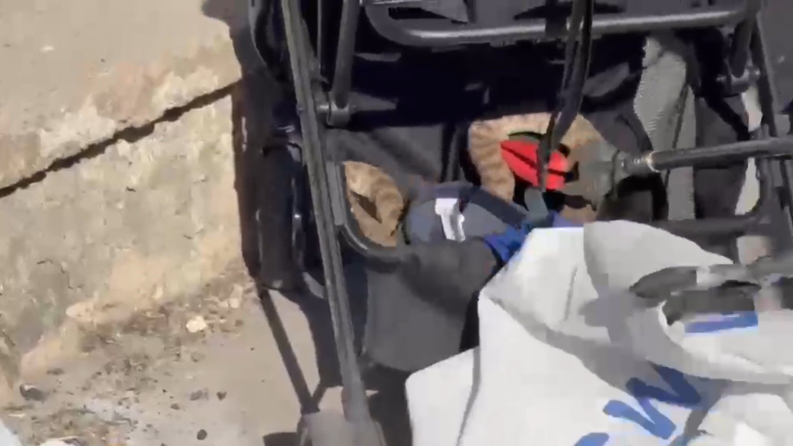 Şanlıurfa’da ağaçtan bebek arabasına yılan düştü
