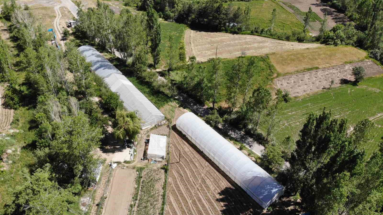 Bayburt'ta yüzde 70 hibeli sera projesi için başvurular yarın başlıyor