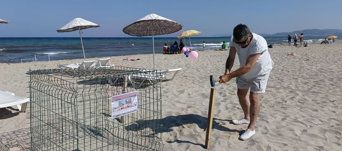 Kuşadası'nda caretta carettalardan umutlandıran yuva