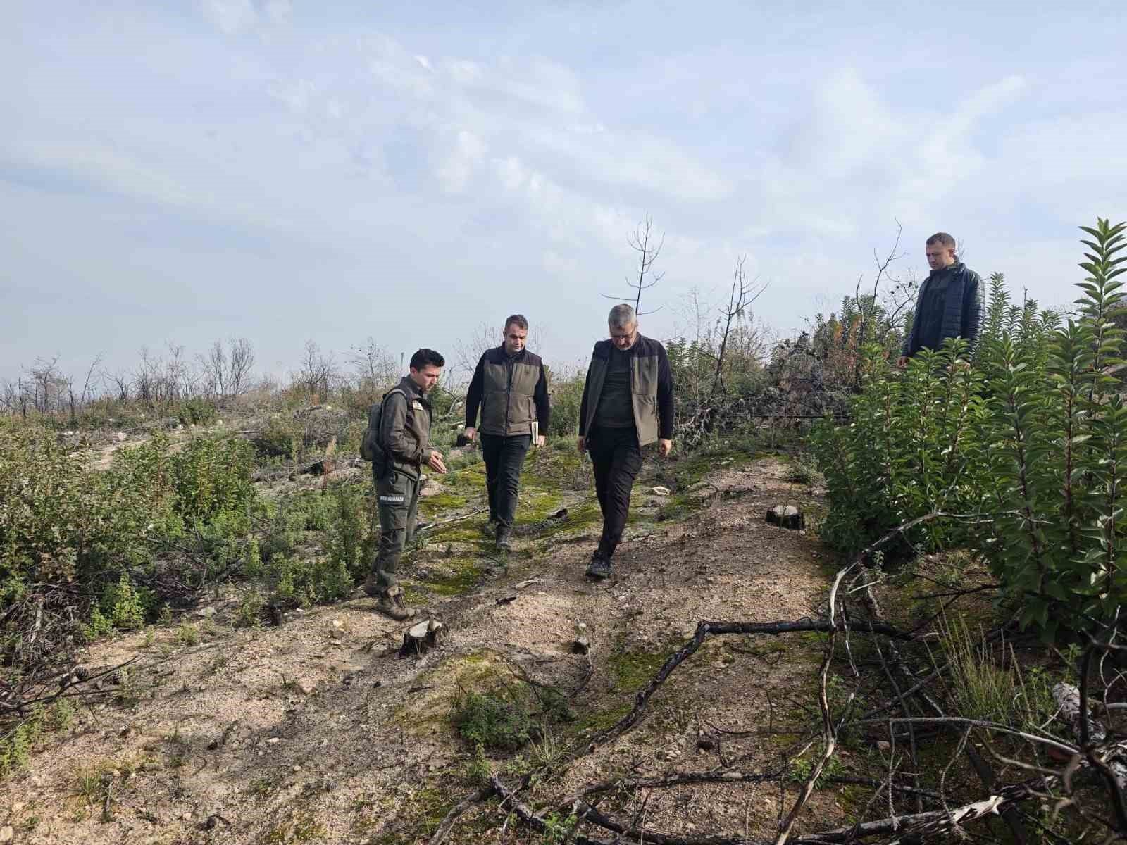 BİLECİK’TE YANGINLA KÜLE DÖNEN ALANLAR YENİDEN YEŞERİYOR