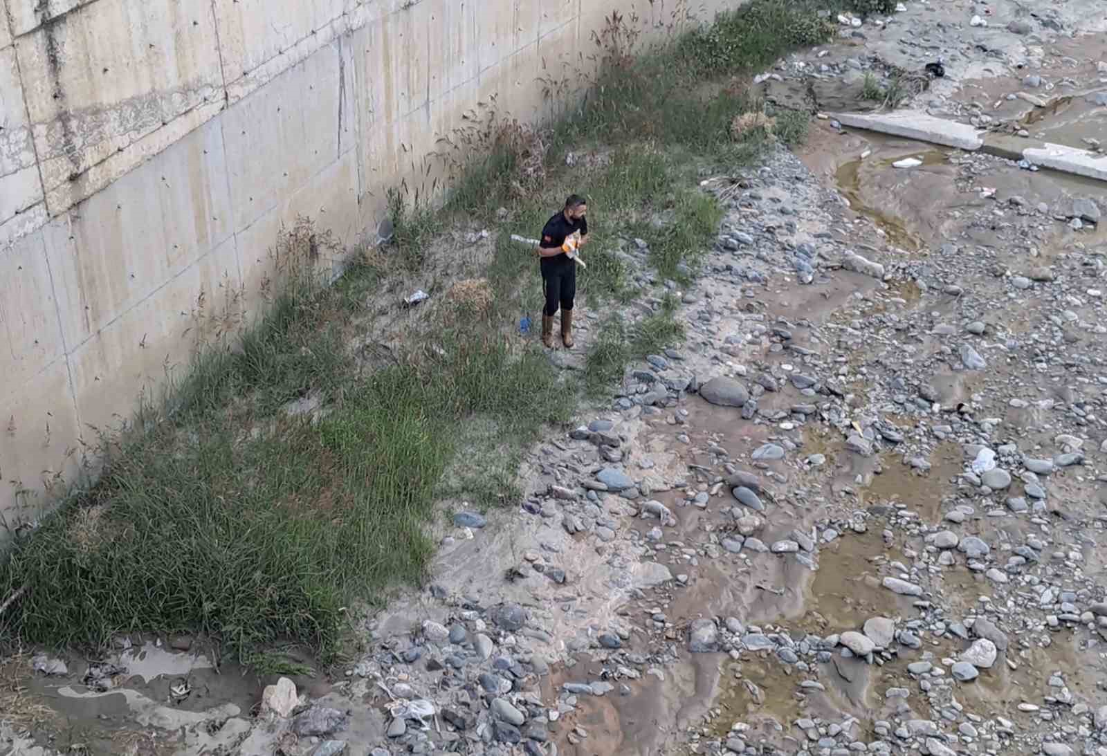 Çorum’da çaya düşen kediyi itfaiye kurtardı