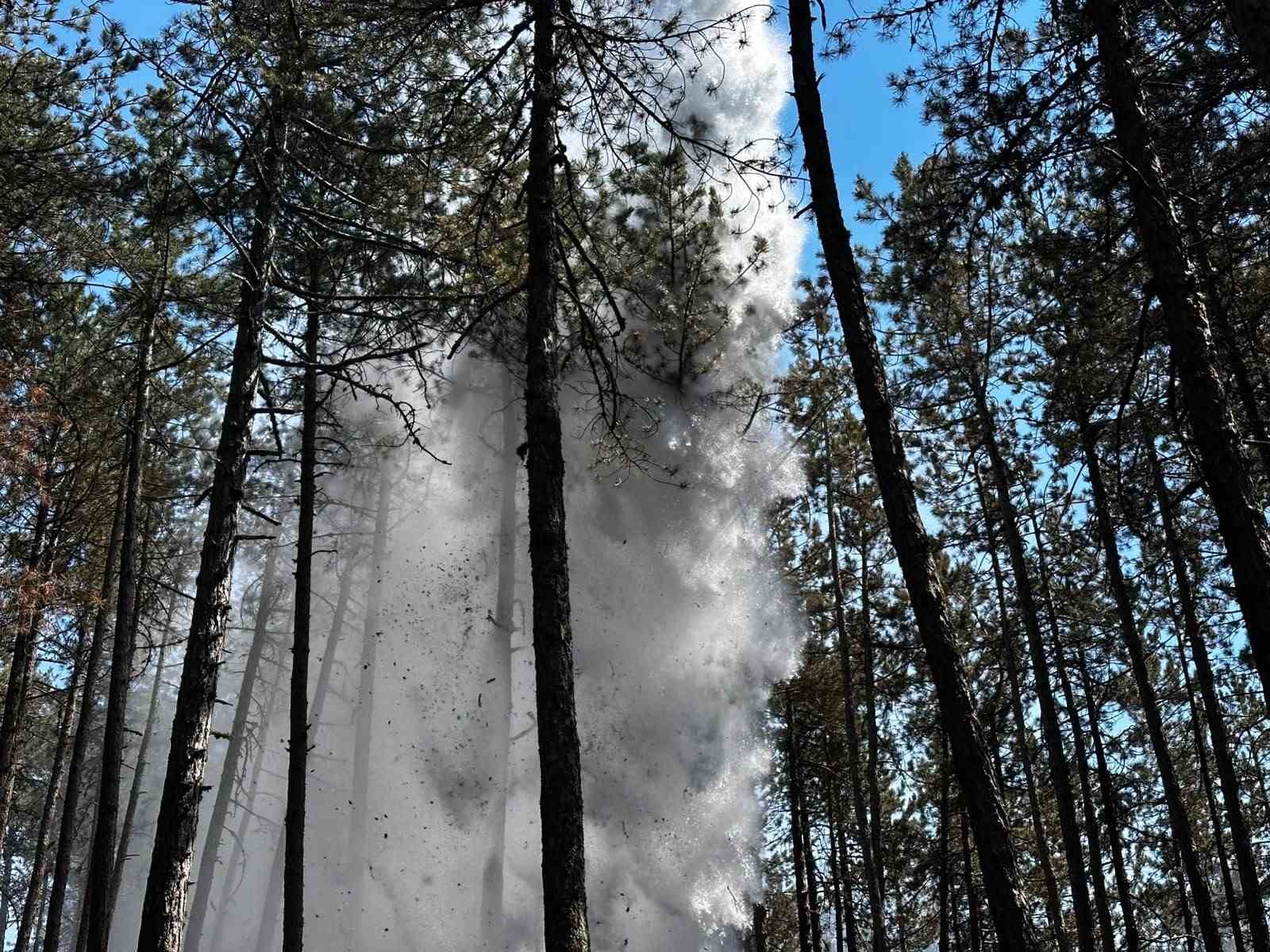 Kastamonu'da orman yangını: Alevlere havadan ve karadan müdahale edildi