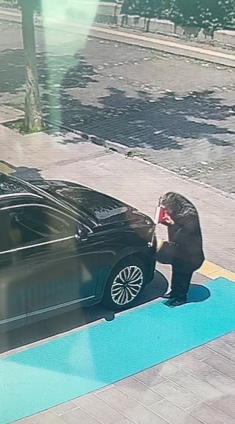 Kars'ta yaşlı kadın makam aracındaki Türk bayrağını öptü
