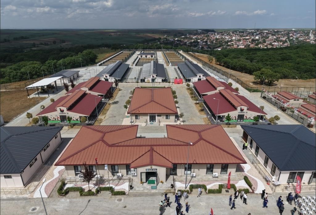 Tekirdağ'da 5 binden fazla sahipsiz hayvana umut oldular