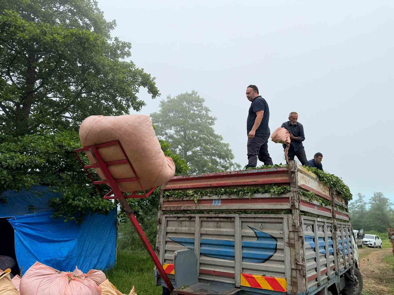 Karadeniz insanı yine zekasını konuşturdu, zor işi kolaylaştırdı
