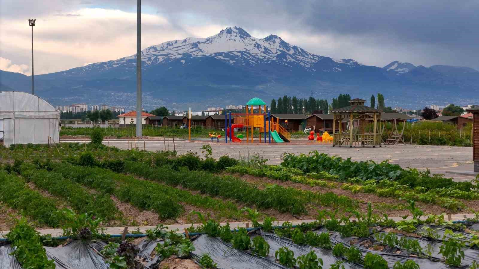 KAYSERİ BÜYÜKŞEHİR BELEDİYESİ, PINARBAŞI İLÇESİYLE ÖZDEŞLEŞEN KİMYONUN TANITILMASI VE ÜRETİMİNİN YAYGINLAŞTIRILMASI AMACIYLA DOĞAL ÜRÜNLER BAHÇESİ’NDE ÖZEL BİR ÜRETİM ALANI OLUŞTURUYOR. ÇALIŞMAYLA KAYSERİ’NİN YEREL TARIMSAL DEĞERLERİNİN KORUNMASI VE ALTERNATİF ÜRÜN YETİŞTİRİCİLİĞİNİN TEŞVİK EDİLMESİ HEDEFLENİYOR.