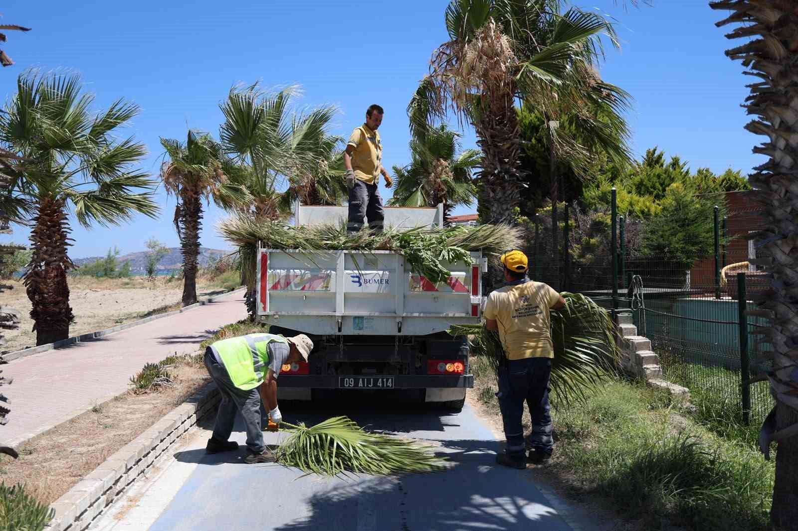 Kuşadası'nda yeşil alanlarda kapsamlı bakım ve düzenleme çalışması