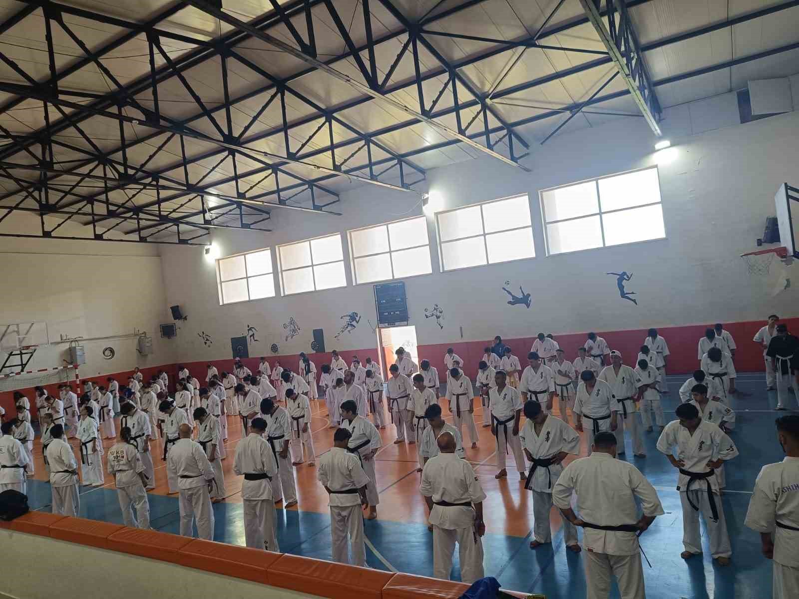 Kütahya Pazarlar'da 200 sporcu Kyokushin-Kan Türkiye Yaz Gelişim Kampı'nda buluştu