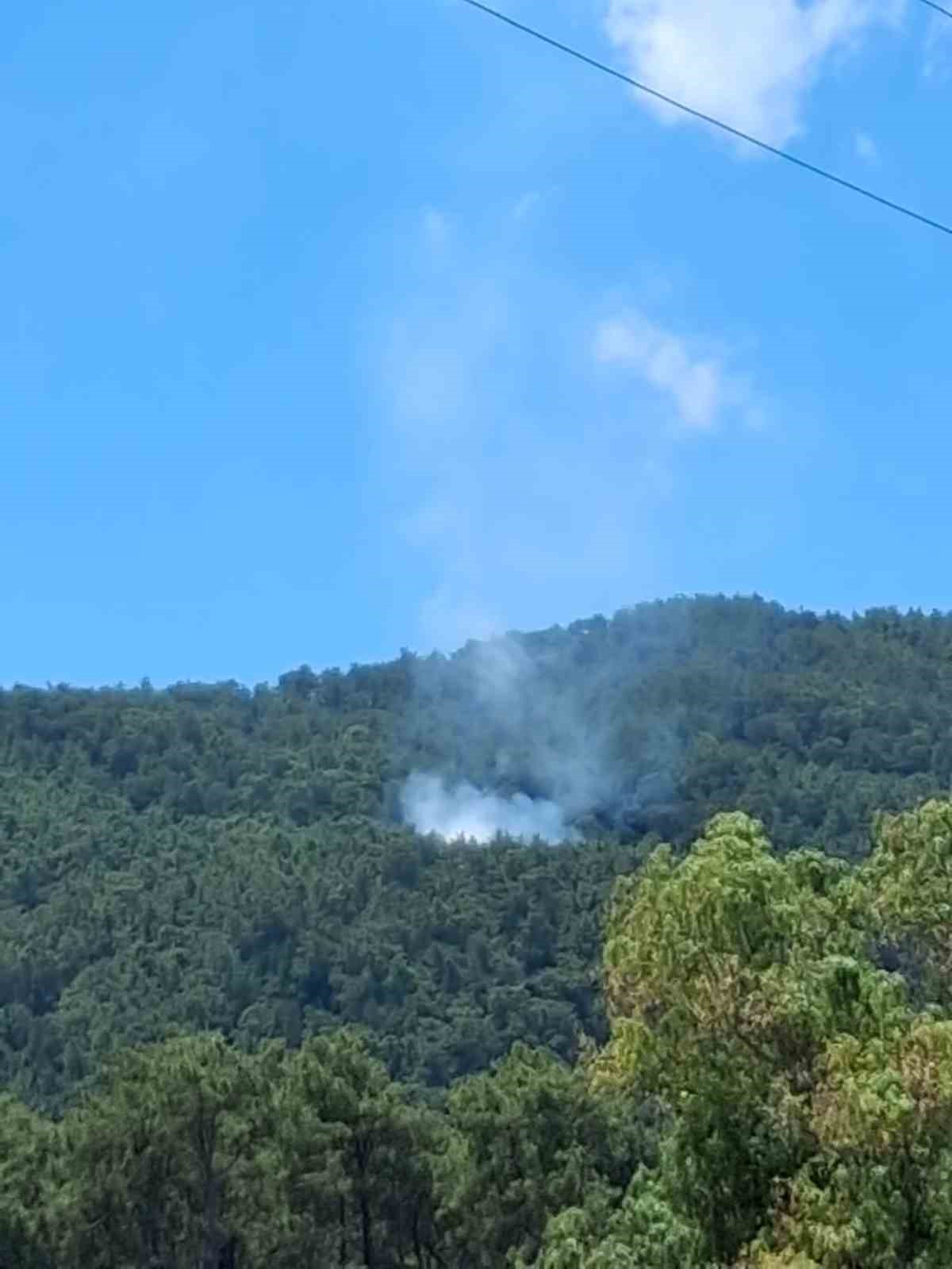 Muğla’da yıldırım kaynaklı 2 orman yangını
