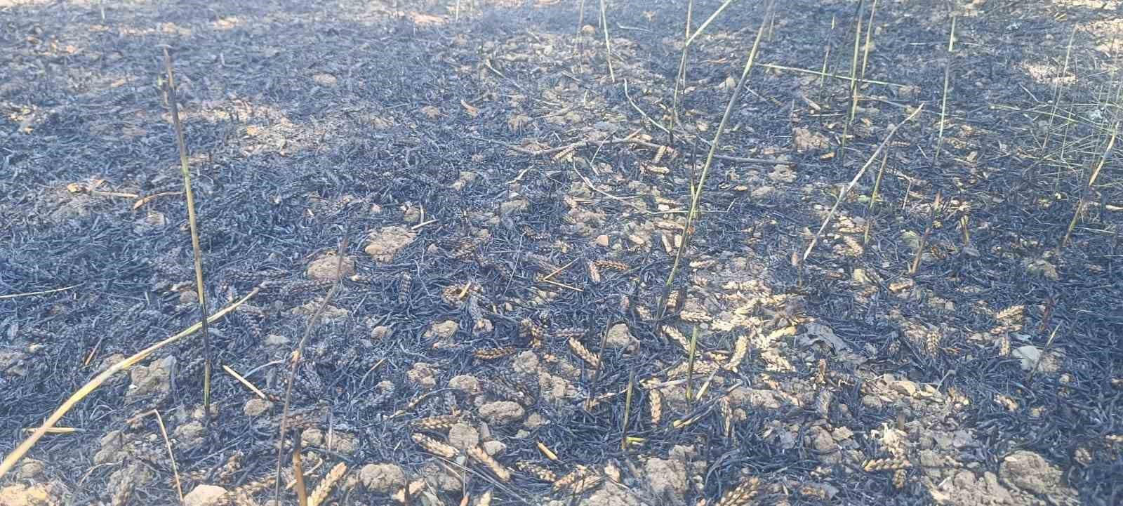 Çan’da tarla yangınında 2 ekili alan kül oldu