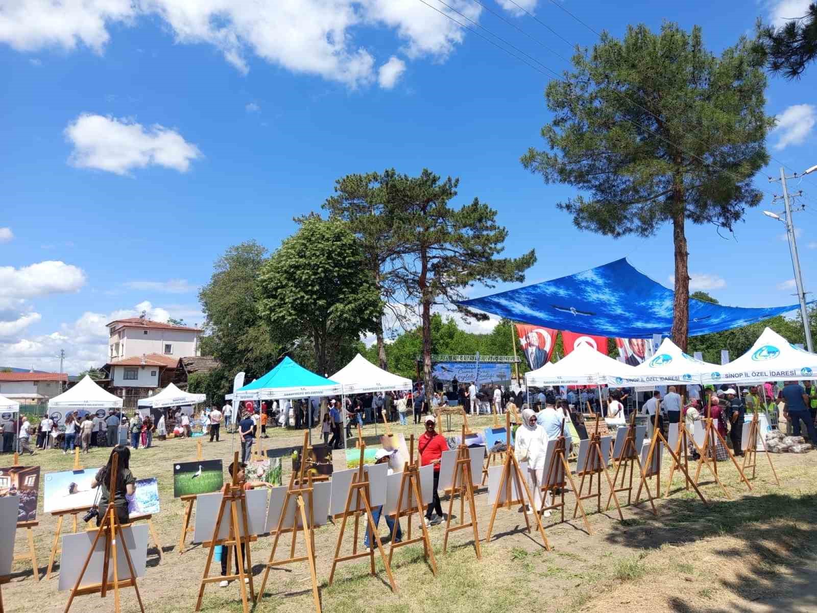 Sinop’ta Leylek Şenliği: Yavrular halkalandı