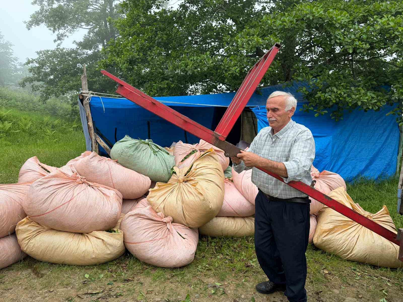 Karadeniz insanı yine zekasını konuşturdu, zor işi kolaylaştırdı