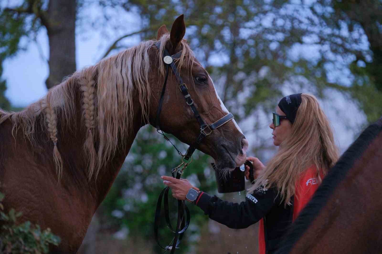 KOCAELİ, 117 BİNİCİNİN KATILDIĞI ULUSAL VE ULUSLARARASI ATLI DAYANIKLILIK YARIŞLARI’NA EV SAHİPLİĞİ YAPTI. 20 İLA 120 KİLOMETRE ARASINDA DEĞİŞEN PARKURLARDA MÜCADELE EDEN SPORCULAR VE ATLARI, GÜÇ VE DAYANIKLILIKLARINI ORTAYA KOYDU.