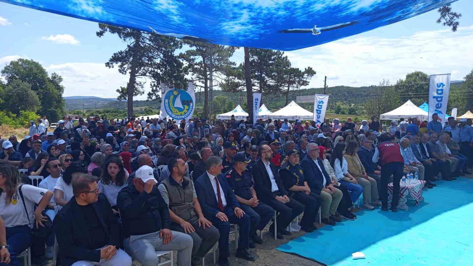 Sinop’ta Leylek Şenliği: Yavrular halkalandı