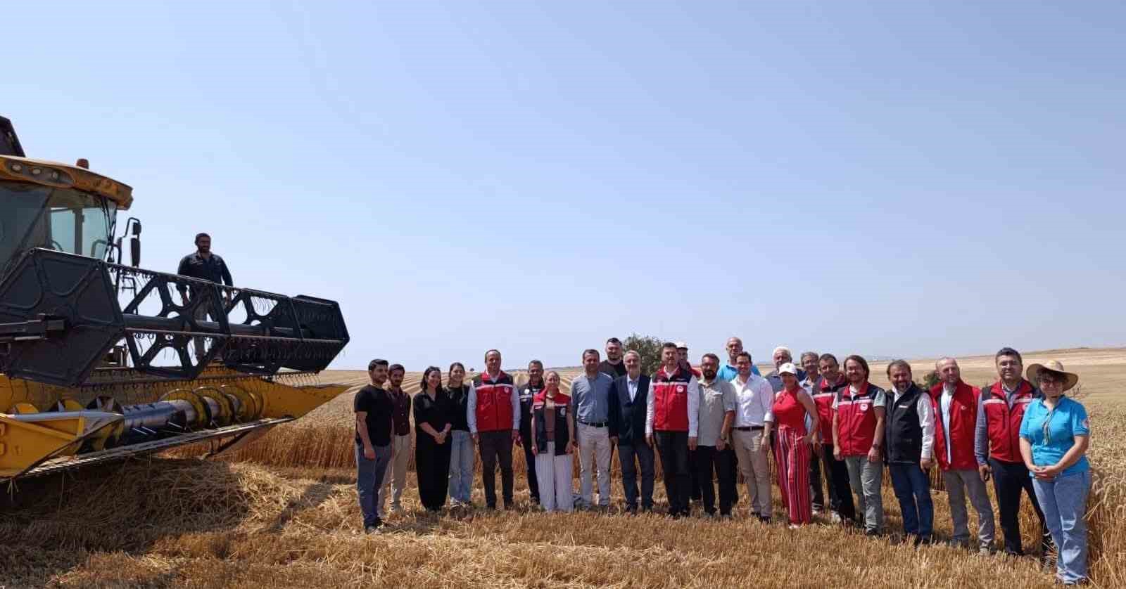 Tekirdağ'da bitkisel yağ üretiminde gıda güvenliği mercek altında