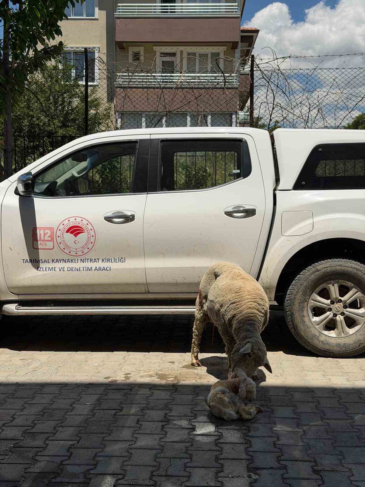 Erzincan’da zamanla yarış mutlu sonla bitti