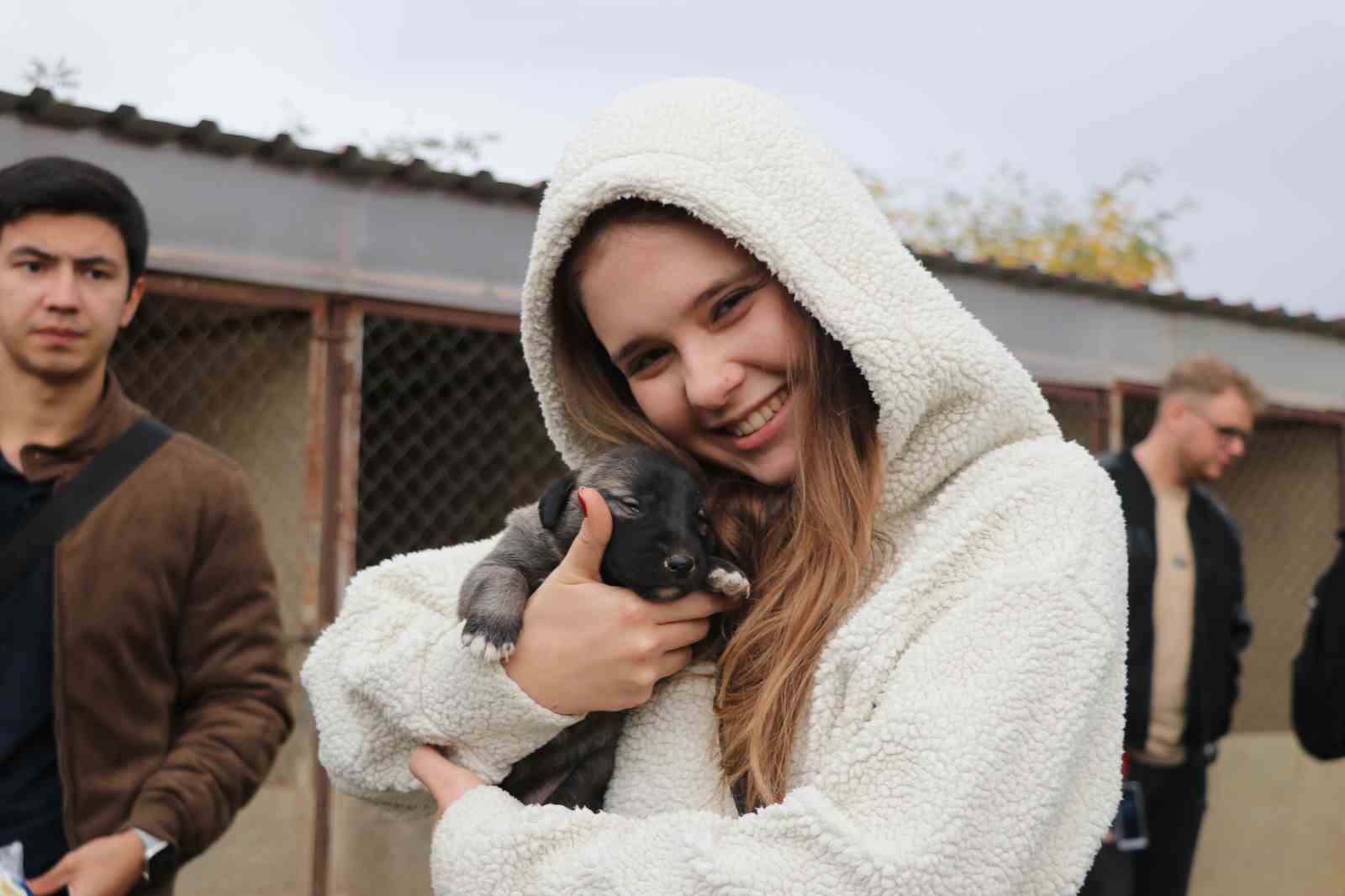 SİVAS’IN DÜNYACA ÜNLÜ MARKASI OLAN KANGAL KÖPEKLERİNİ GÖRMEK İSTEYEN YABANCI UYRUKLU ÖĞRENCİLER HAYRAN KALDI. YAVRU KANGALLARLA YAKINDAN İLGİLENEN ÖĞRENCİLER, BÜYÜK KANGALLARA İSE YAKLAŞMAKTA ZORLANDI.