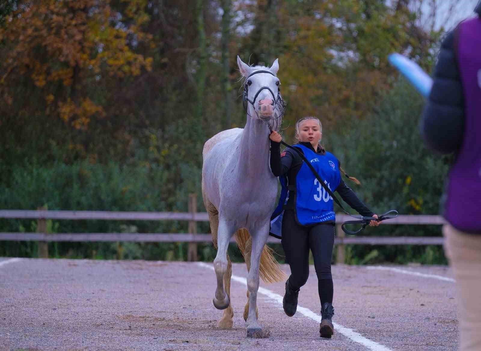 KOCAELİ, 117 BİNİCİNİN KATILDIĞI ULUSAL VE ULUSLARARASI ATLI DAYANIKLILIK YARIŞLARI’NA EV SAHİPLİĞİ YAPTI. 20 İLA 120 KİLOMETRE ARASINDA DEĞİŞEN PARKURLARDA MÜCADELE EDEN SPORCULAR VE ATLARI, GÜÇ VE DAYANIKLILIKLARINI ORTAYA KOYDU.