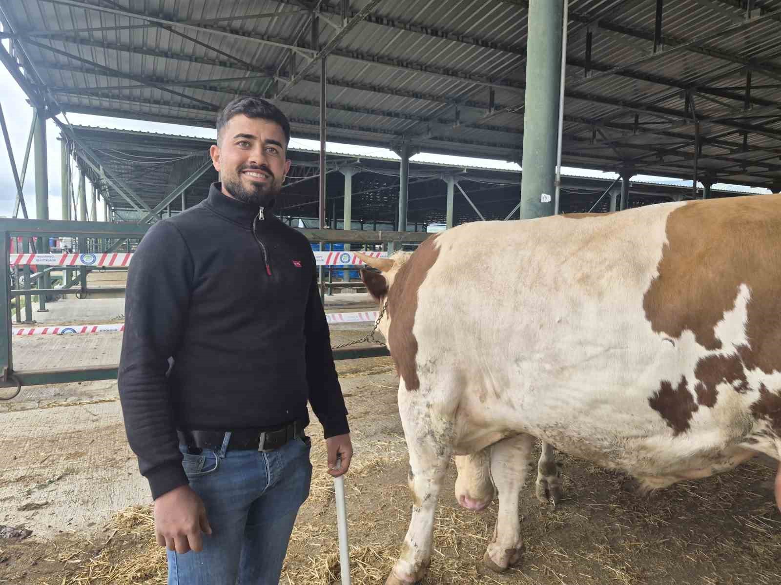 Eskişehir Hayvan Pazarı'nın şampiyon danası görücüye çıktı