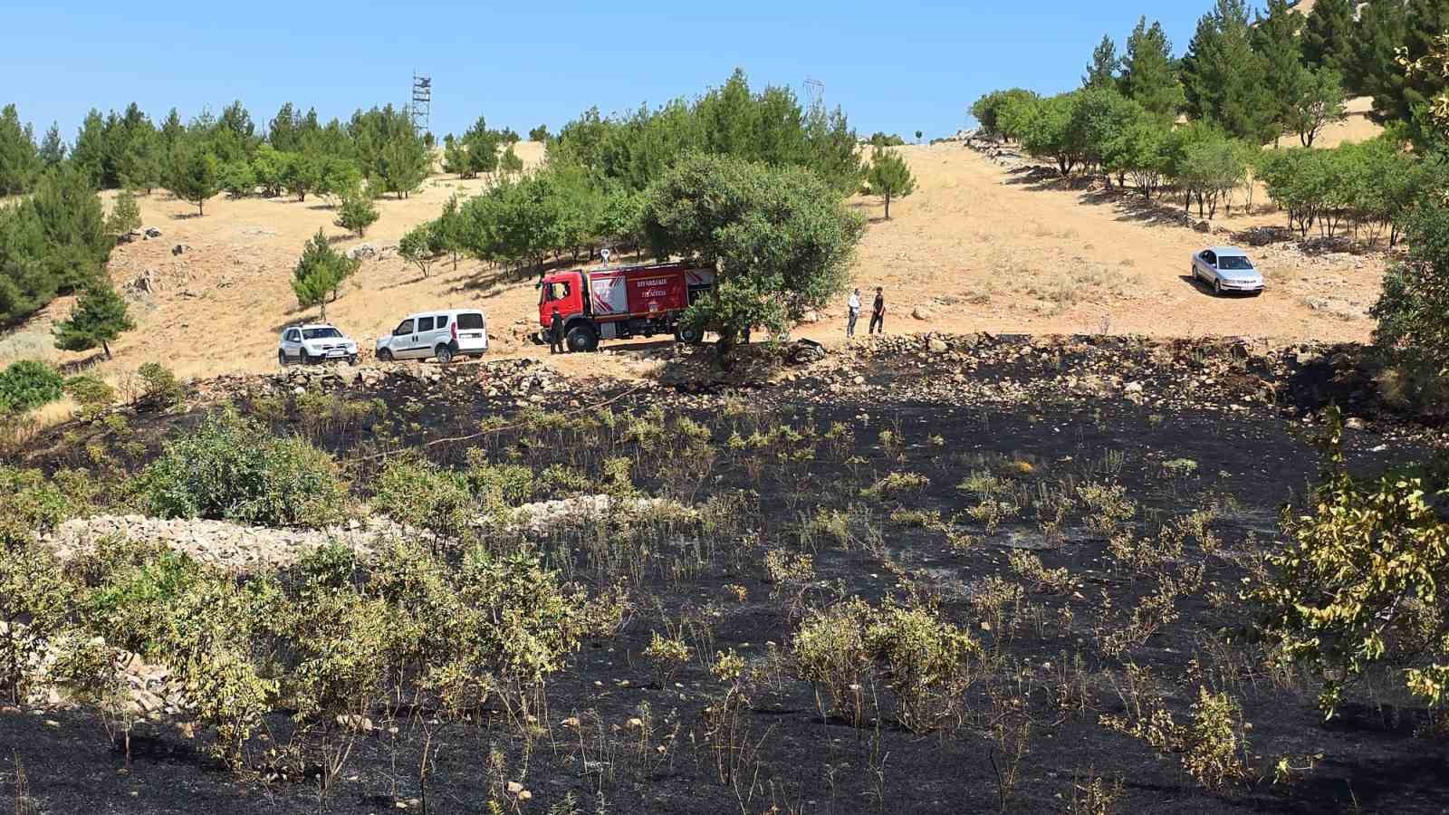 Diyarbakır'da yüksek gerilim hattına çarpan kuş yangına neden oldu