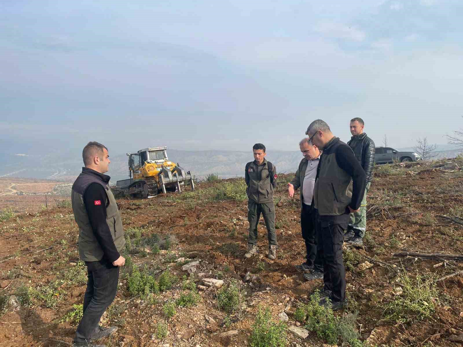 BİLECİK’TE YANGINLA KÜLE DÖNEN ALANLAR YENİDEN YEŞERİYOR