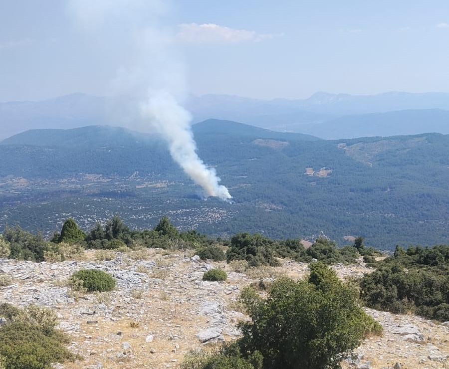 Muğla’da orman yangını