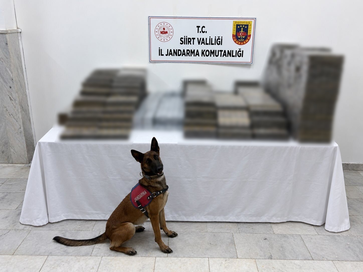 SİİRT’TE KÖMÜR ÇUVALLARININ ARASINA GİZLENMİŞ 10 BİN 250 PAKET KAÇAK SİGARA ELE GEÇİRİLDİ