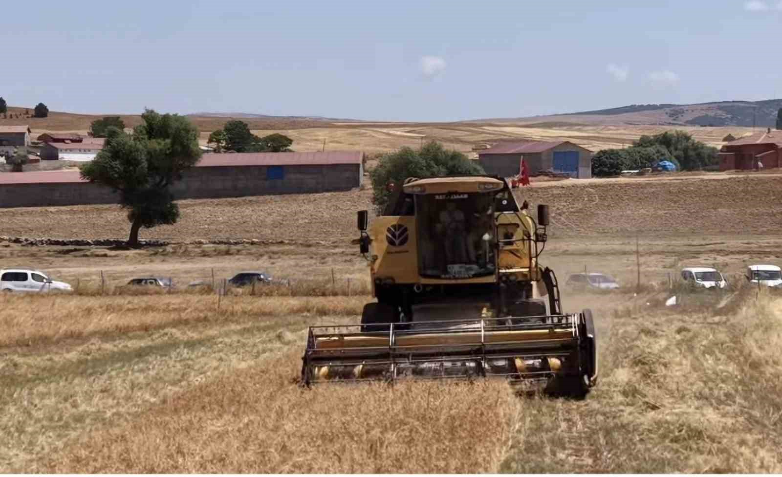 Kütahya'da 18 farklı nohut çeşidi aynı tarlada tanıtıldı