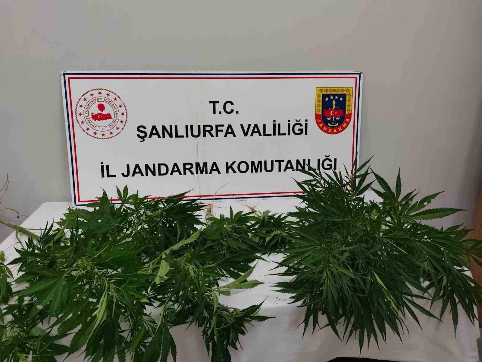 Hilvan’da uyuşturucu ele geçirildi
