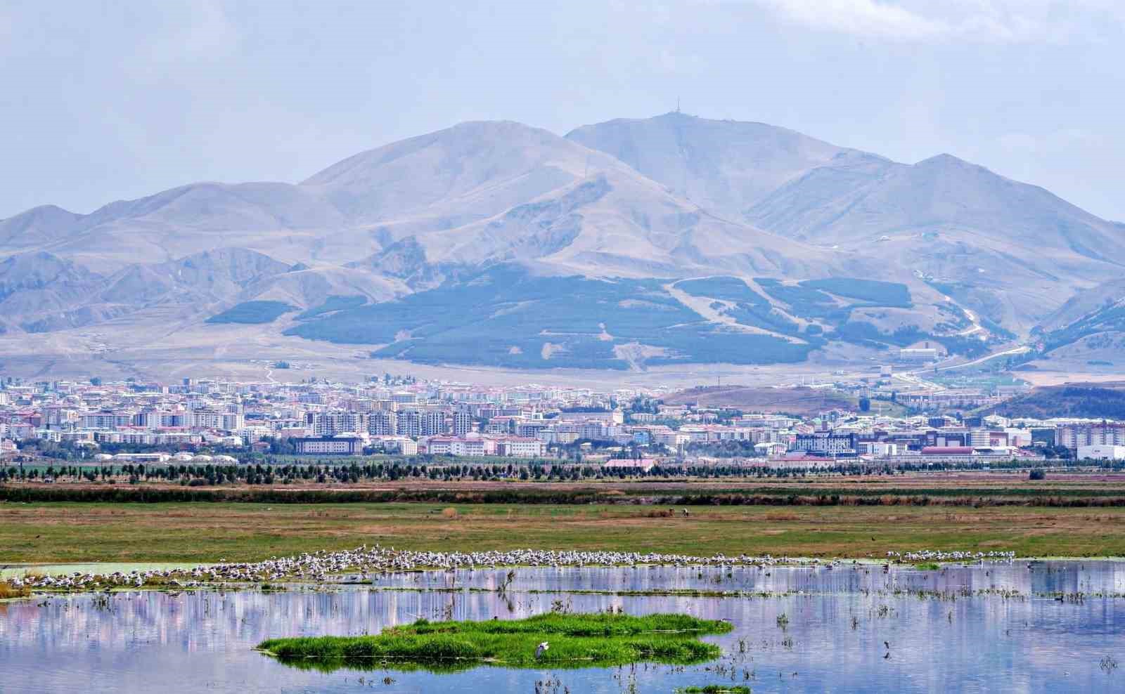 Amerika'nın Erzurum mesaisi: Yüzyıllık belge gün yüzüne çıktı