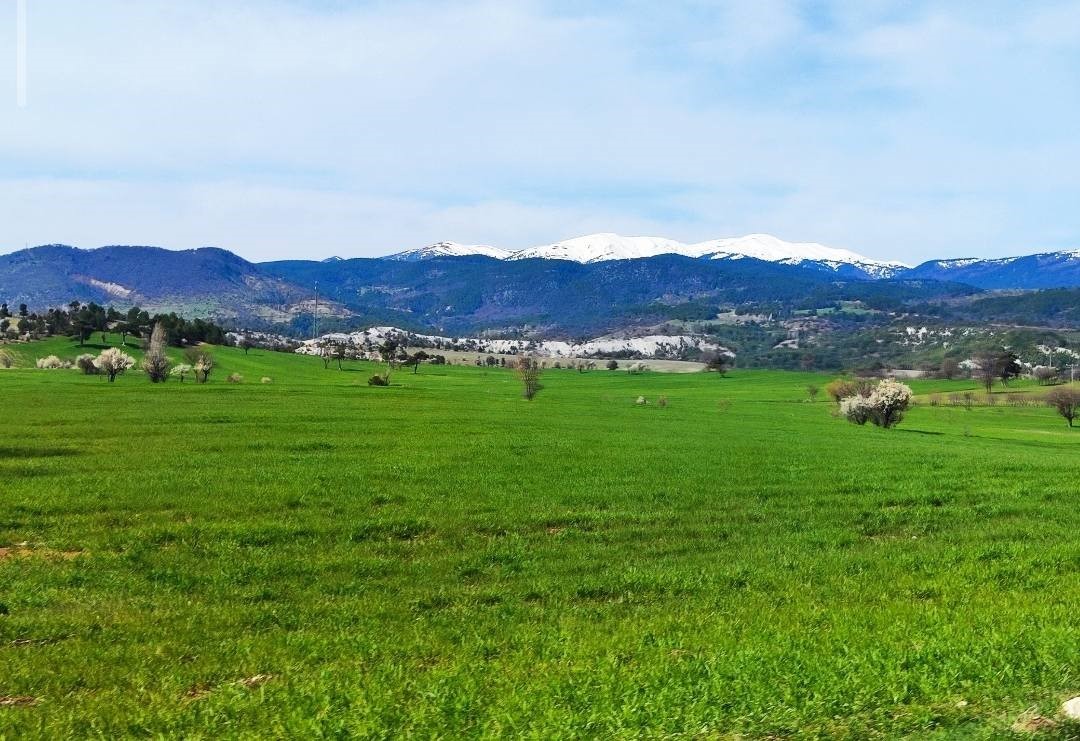 Gediz'de bahar aylarının getirdiği güzellik büyülüyor