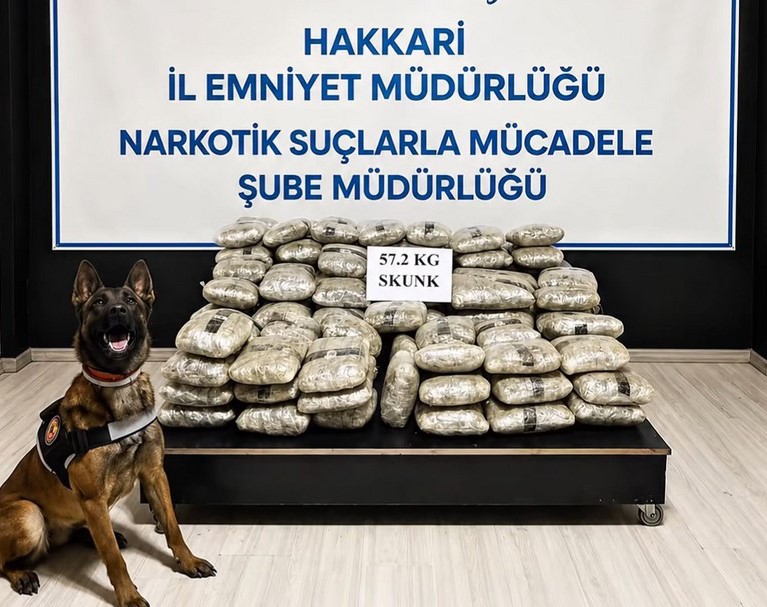 Hakkari'de 57 kilo 200 gram skunk ele geçirildi