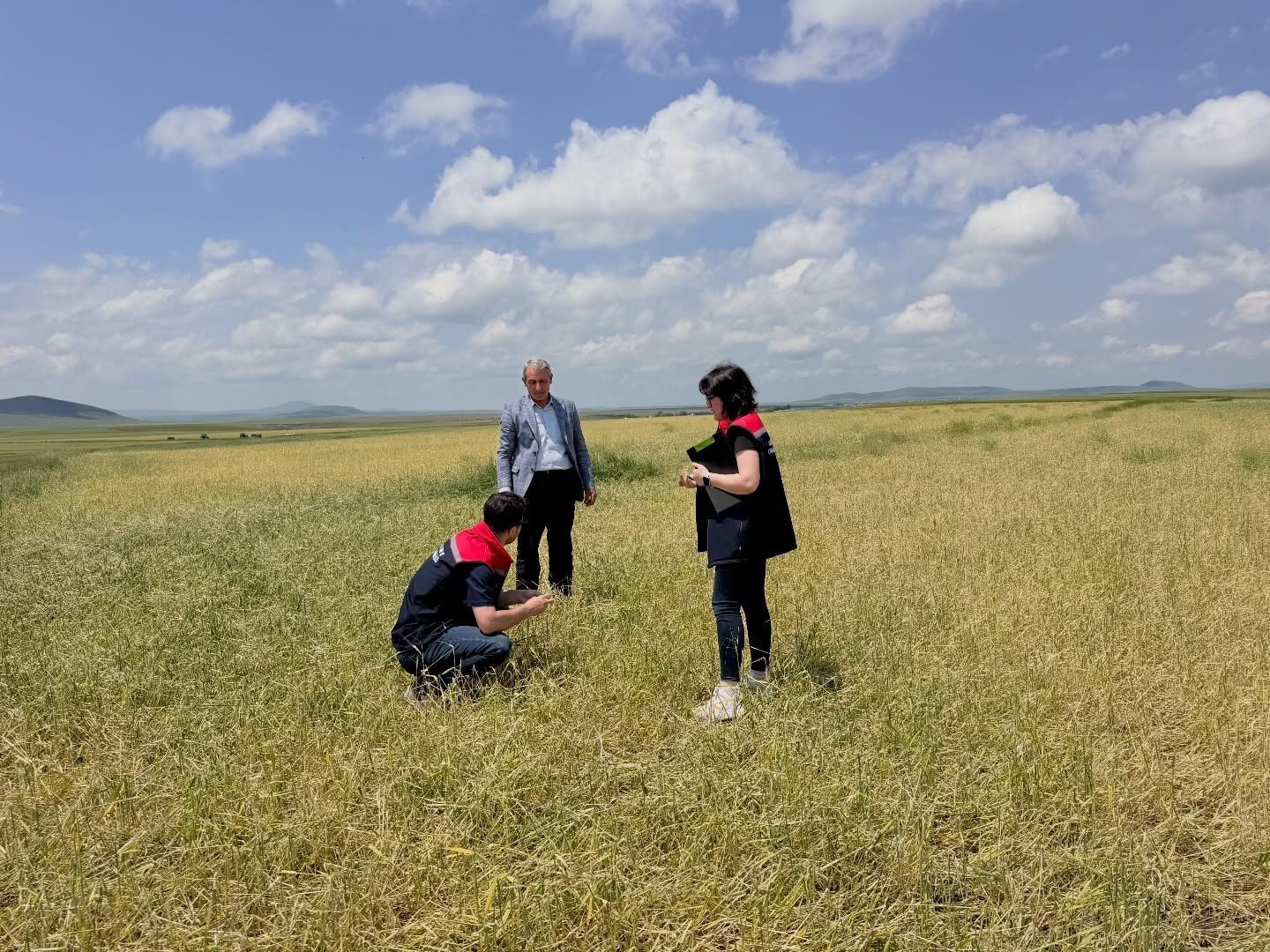 Kars'ta fırtına ve dolu sonrası hasar tespit çalışmaları başladı
