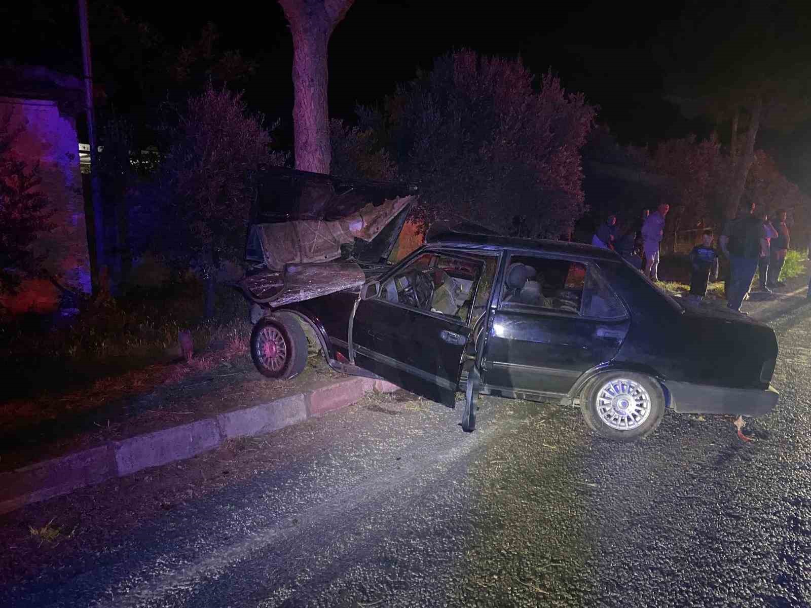 Sokak köpeğinden kaçmak isteyen otomobil ağaca çarptı: 1'i ağır 2 yaralı