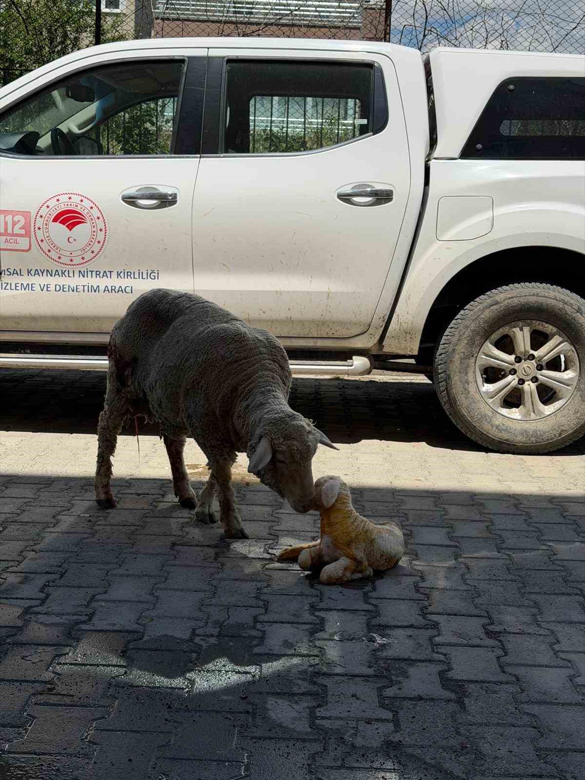 Erzincan’da zamanla yarış mutlu sonla bitti