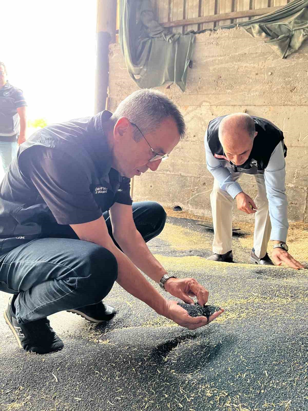 Bilecik'te kanola ve ayçiçeği alımları hız kazandı