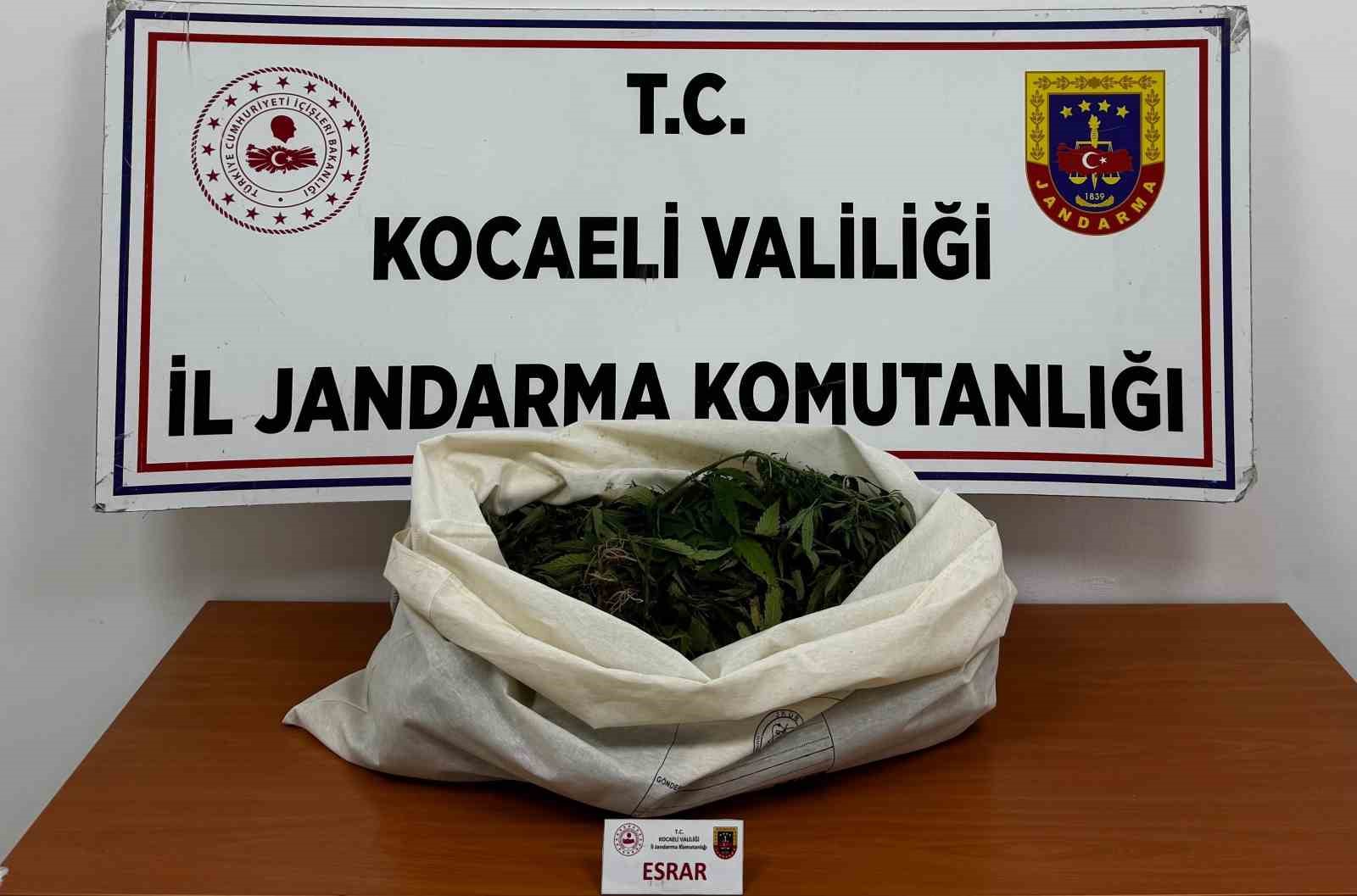 Kocaeli'de jandarmadan 4 ilçede uyuşturucu operasyonu