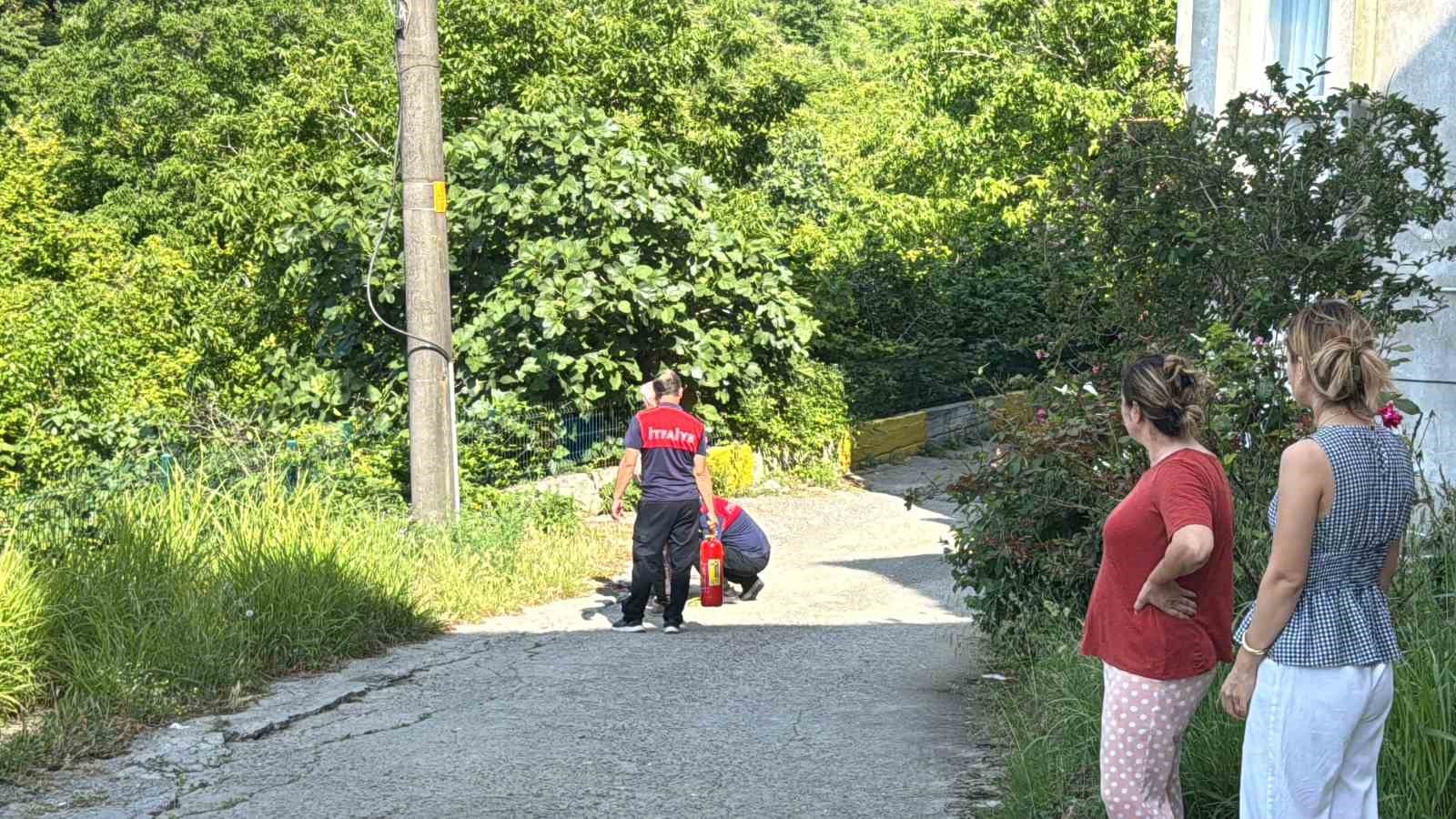 Alaplı’da alev topuna dönen piknik tüpü korkuttu