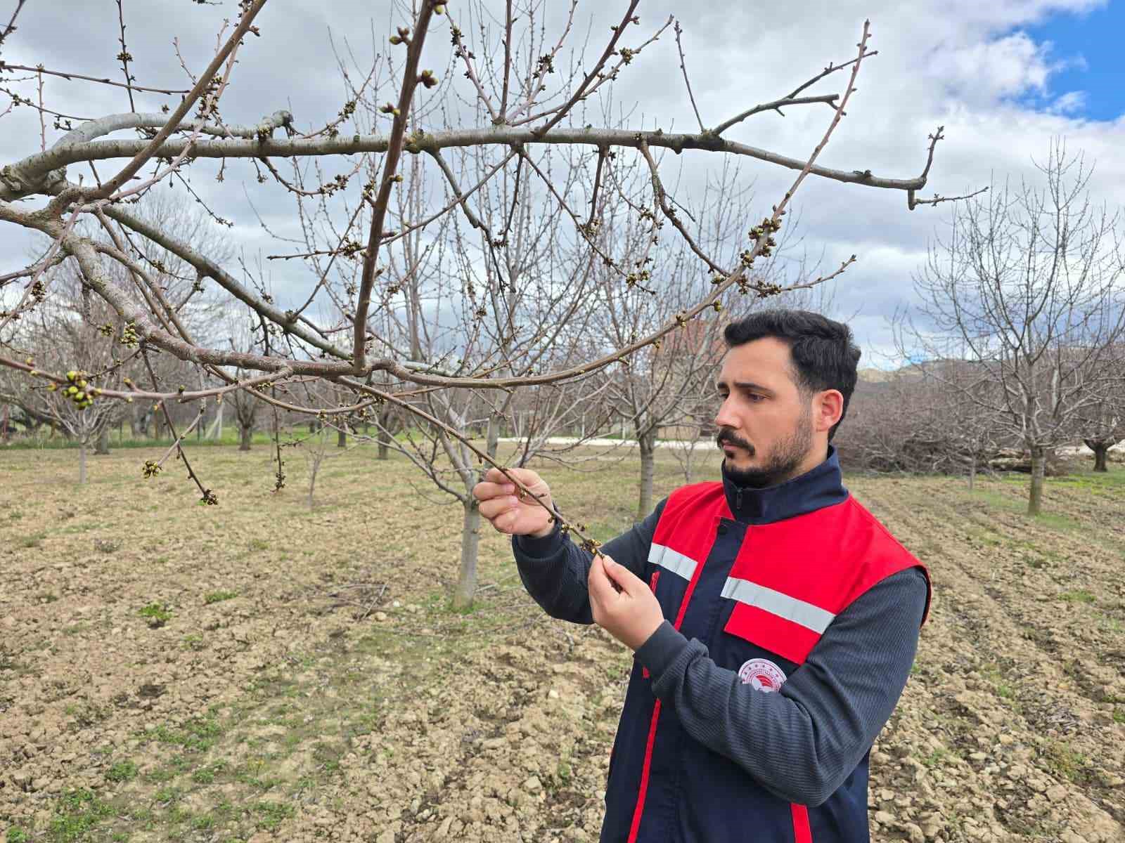 Afyon'da zirai don riskine karşı meyve bahçelerinde kontroller artırıldı