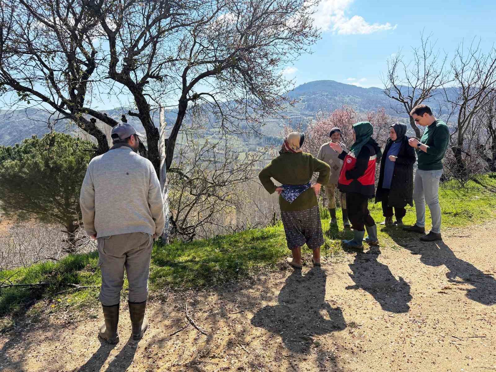 Simav'da üreticilere zirai don uyarısı