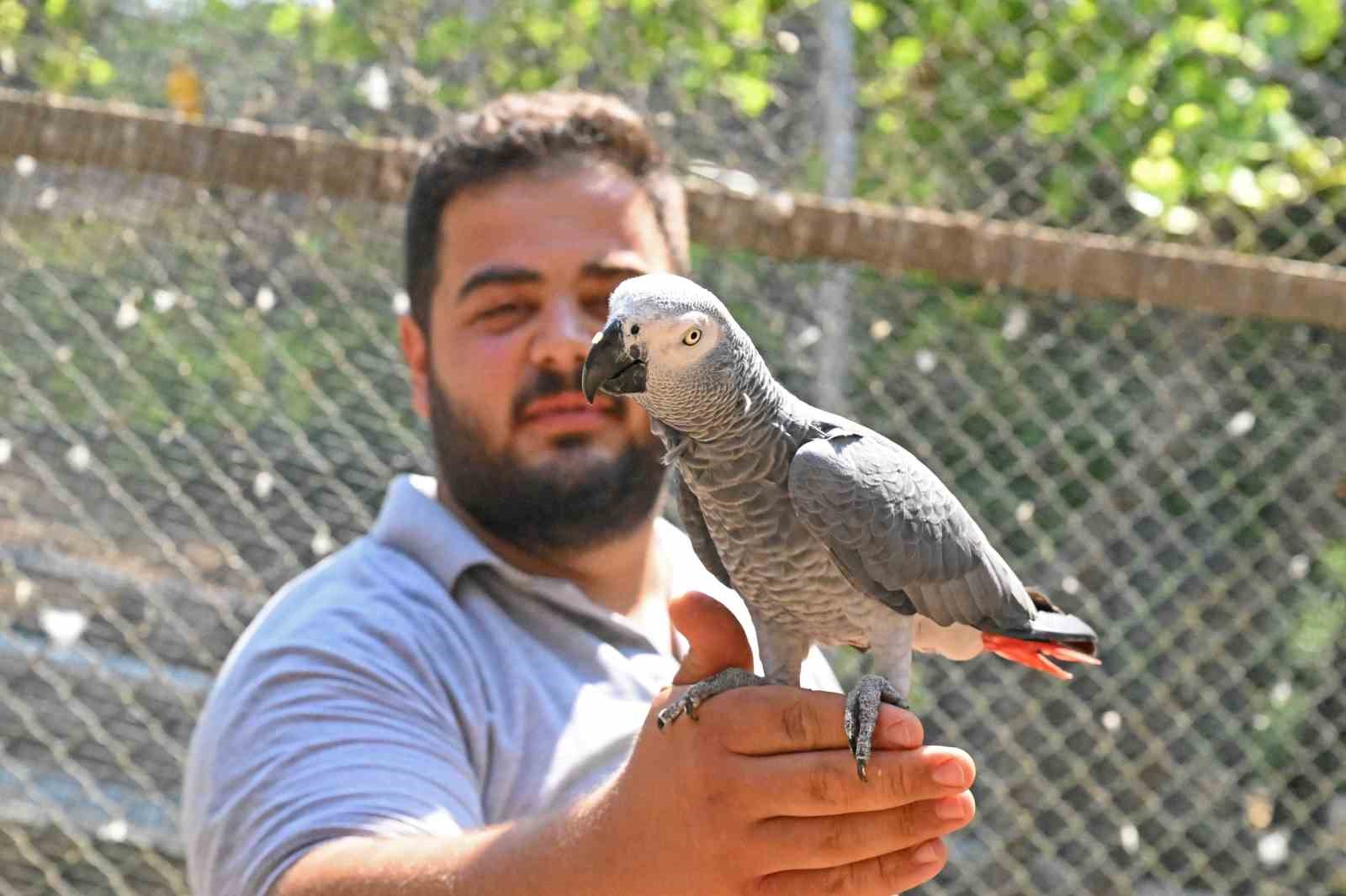 Doğal yaşam parkı yeni yavrularla şenlendi