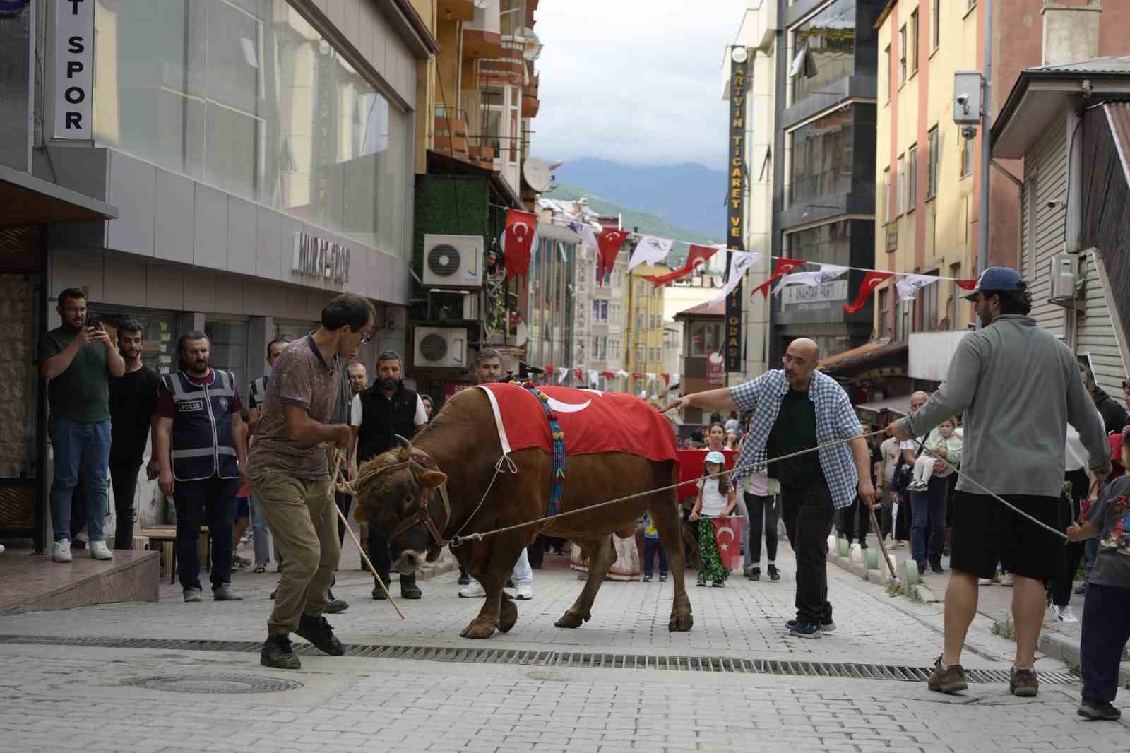 'Kafkasör Festivali' boğalı kortej yürüyüşüyle başladı