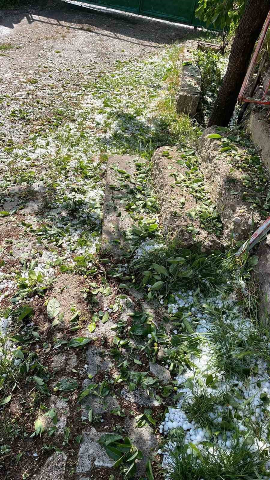 Dolu yağışı ekili alanlara zarar verdi