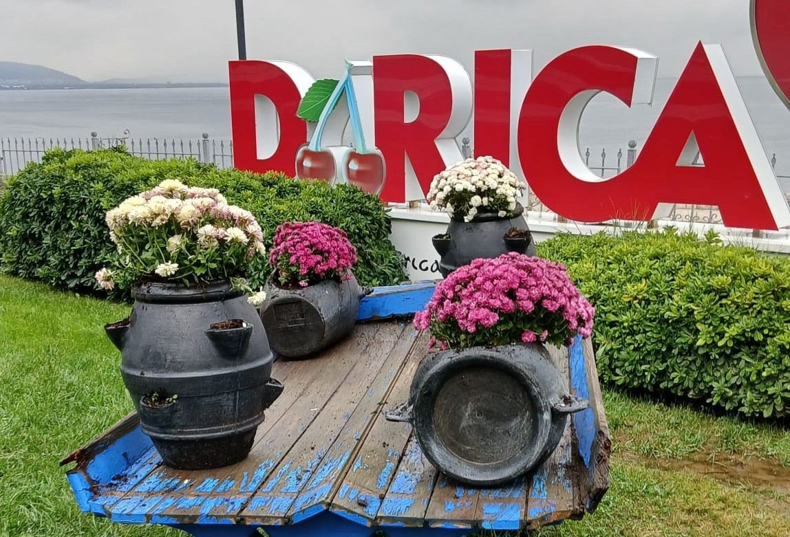 DARICA'DA GENELİNDEKİ PARK, BAHÇE VE ŞEHİTLİKLER MEVSİMLİK ÇİÇEKLERLE DONATILARAK İLÇE RENKLENDİRİLİYOR.
