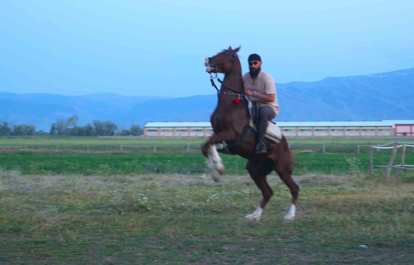 "Mehmet: Fetihler Sultanı" oyuncusu Mustafa Kaya, Muş’ta film atlarını hazırladı