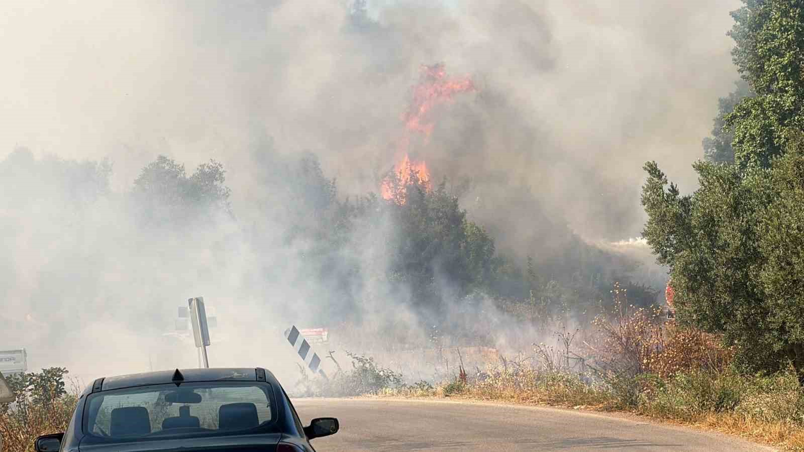 İznik'te korkutan yangın